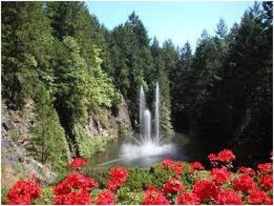 Summer Waterfall with Red Flowers