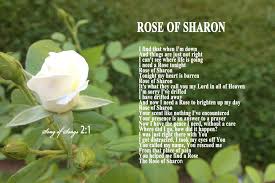 rose of sharon poem other